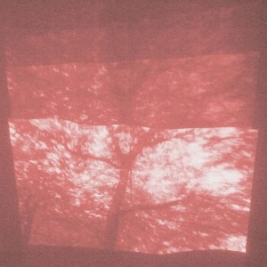 SHXCXCHCXSH / ROSTEN 2