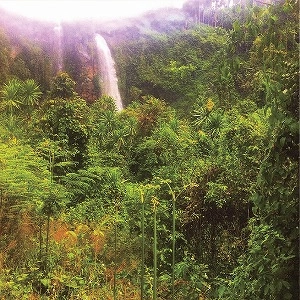 ROSS ALEXANDER / MEMORIAS VOL.1 - BUGANDAN SACRED PLACES