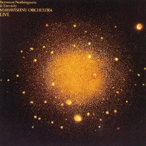 JOHN MCLAUGHLIN / ジョン・マクラフリン / BETWEEN NOTHINGNESS & ETERNITY / 虚無からの飛翔