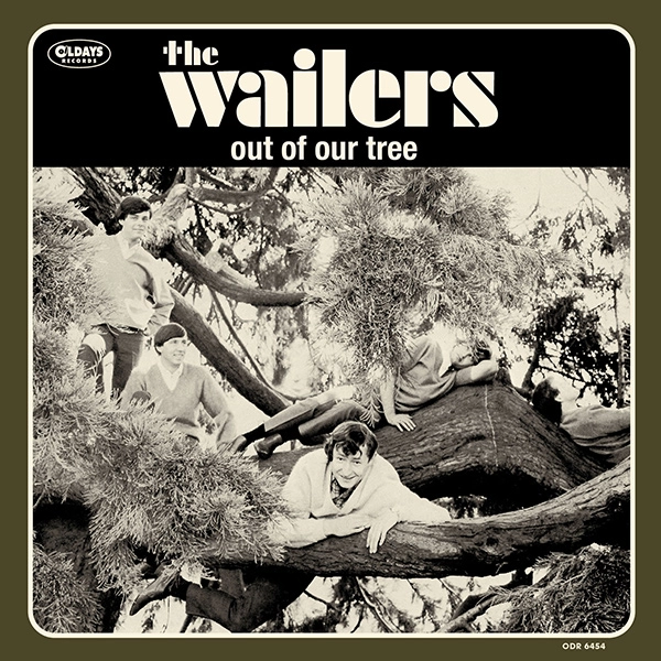 WAILERS (US ROCK) / ウェイラーズ (US ROCK) / アウト･オブ･アワ･ツリー / OUT OF OUR TREE