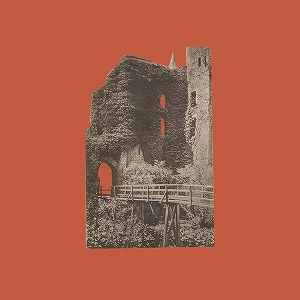 V.A. (CULT & MINOR  NEW WAVE) / KALE PLANKIEREN - DUTCH CASSETTE RARITIES 1981 -1985 VOL. 1