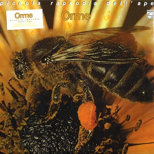 LE ORME / レ・オルメ / PICCOLA RAPSODIA DELL'APE: LIMITED COLOURED VINYL