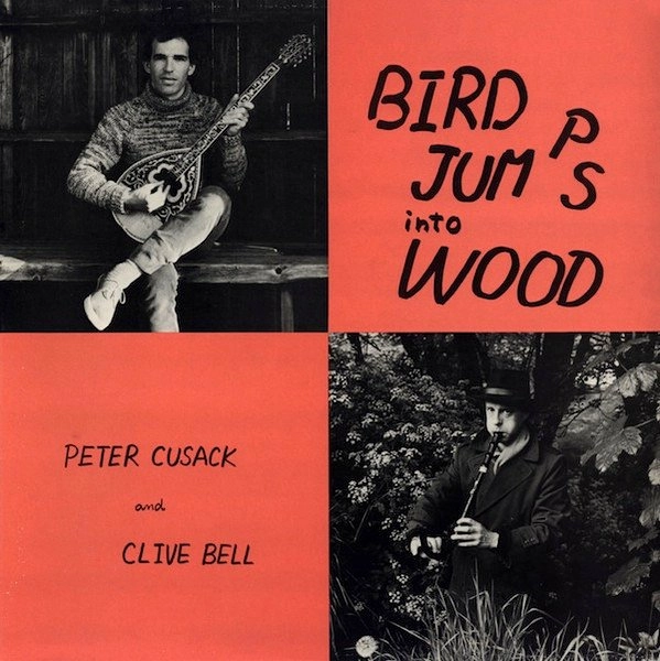 PETER CUSACK / BIRD JUMPS INTO WOOD