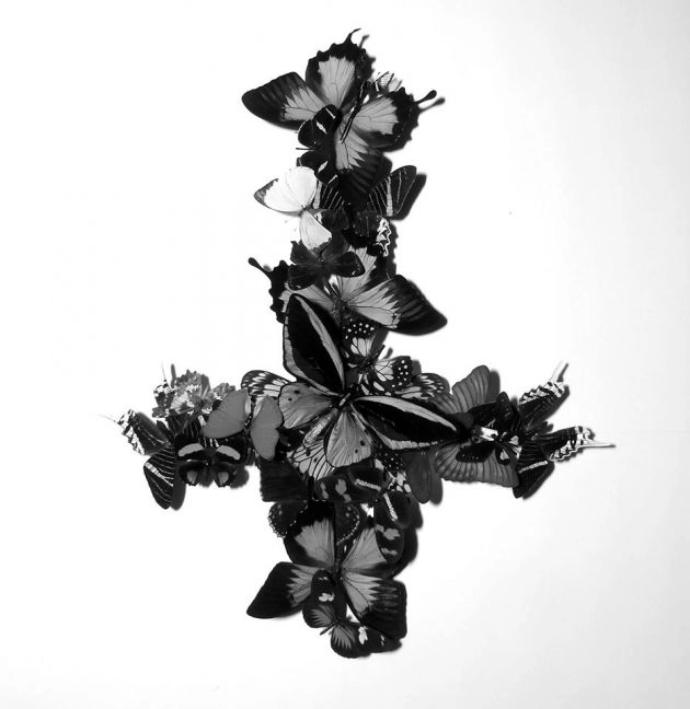 MONARCH / モナーク / NEVER FOREVER