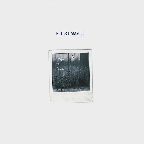 PETER HAMMILL / ピーター・ハミル / FROM THE TREES: 180G LIMITED VINYL