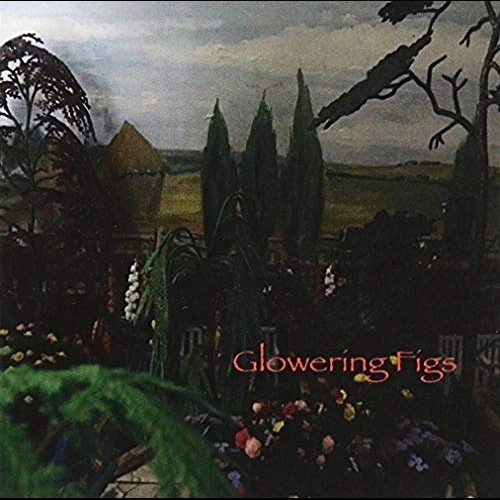 GLOWERING FIGS / GLOWERING FIGS