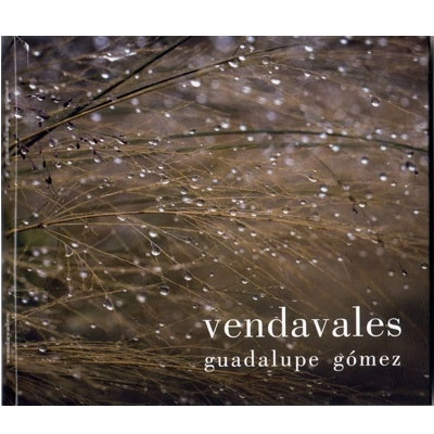 GUADALUPE GOMEZ / グアダルーペ・ゴメス / VENDAVALES