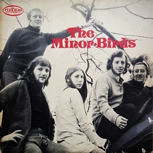 MINOR BIRDS / MINOR BIRDS
