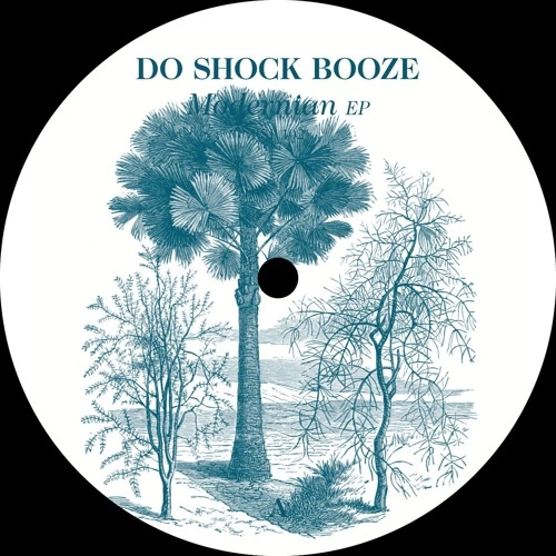 DO SHOCK BOOZE / MODERNIAN EP