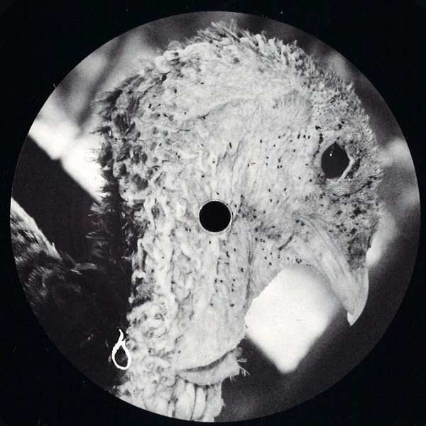 DORISBURG / VENOM