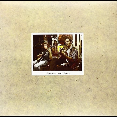 BEN HARPER / ベン・ハーパー / PLEASURE AND PAIN