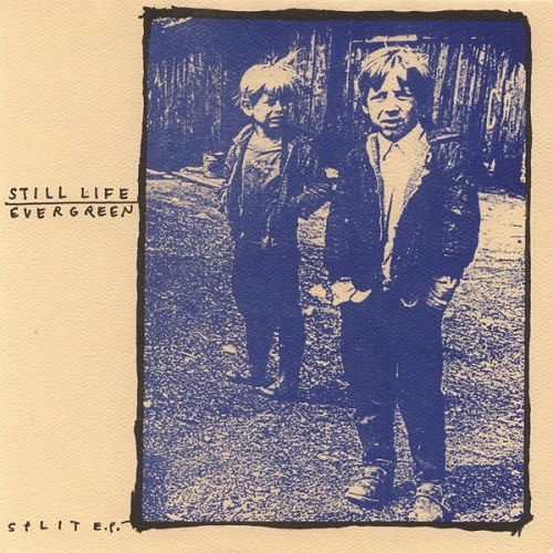 STILL LIFE : EVERGREEN / SPLIT E.P.