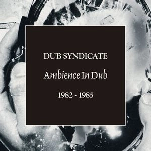 DUB SYNDICATE / ダブ・シンジケート / アンビエンス･イン･ダブ 1982-1985 / AMBIENCE IN DUB 1982-1985