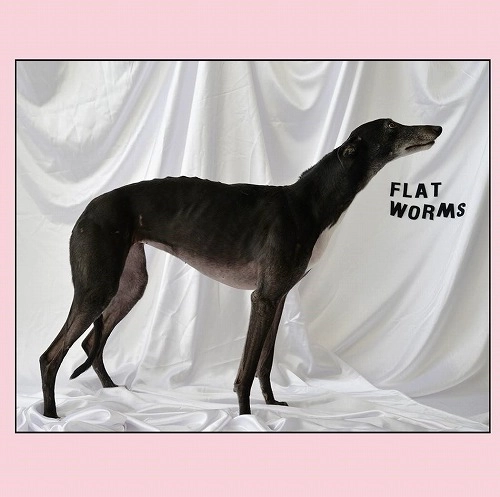 FLAT WORMS / FLAT WORMS (LP)