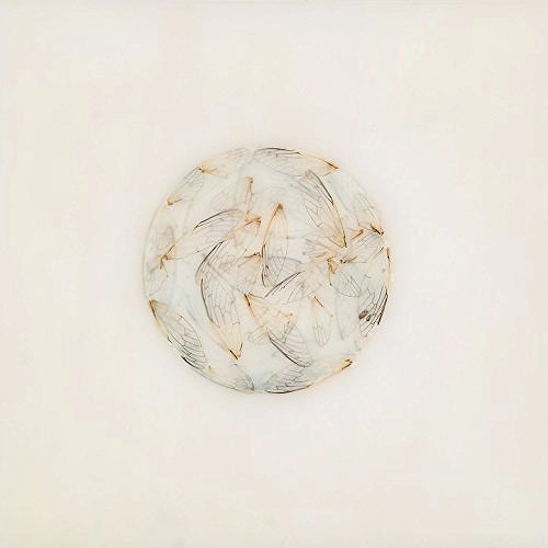 LOTTE KESTNER / ロッテ・ケストナー / OFF WHITE