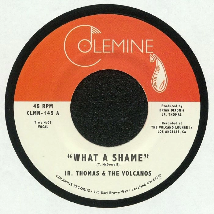JR.THOMAS & THE VOLCANOS / WHAT A SHAME / BRIAN WILSON