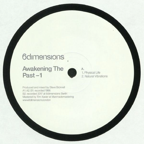 STEVE BICKNELL / スティーヴ・ビックネル / AWAKENINGS THE PAST-1