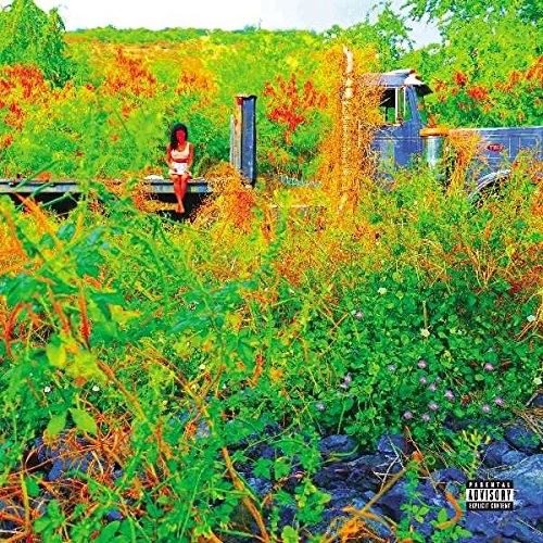 JHENE AIKO / TRIP