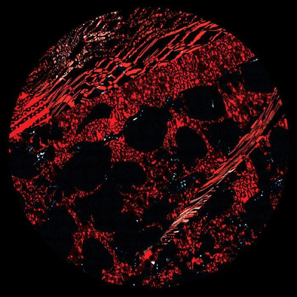 PENIK ETTEK / DATASMOK & D.CARBONE / UNTITLED