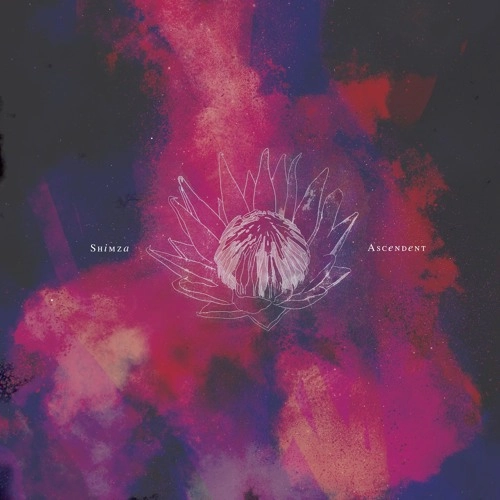 SHIMZA / ASCENDENT
