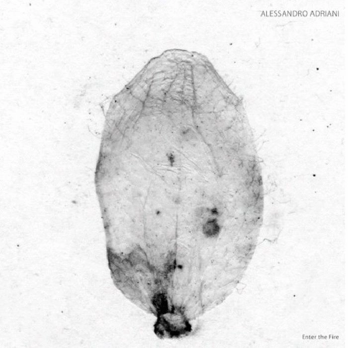 ALESSANDRO ADRIANI / ENTER THE FIRE