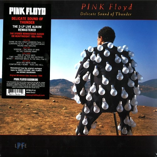 PINK FLOYD / ピンク・フロイド / DELICATE SOUND OF THUNDER