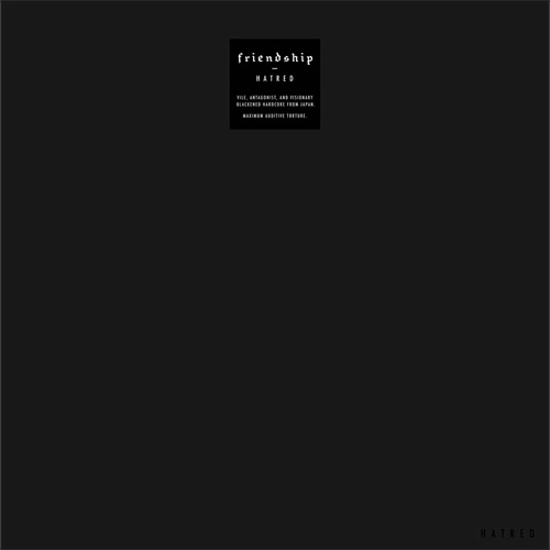 FRIENDSHIP / HATRED (LP)
