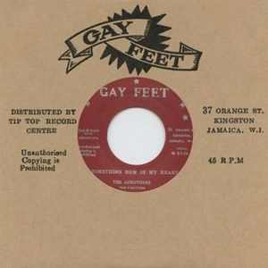 AFROTONES / SOMETHING NEW IN MY HEART