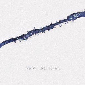 FERN PLANET / stardustbox