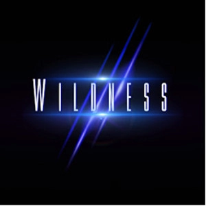 WILDNESS   / ワイルドネス / ワイルドネス / WILDNESS