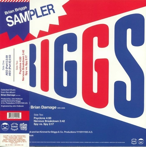 BRIAN BRIGGS / SPECIAL SAMPLER: SELECTED MUSIC FROM THE ALBUM BRIAN DAMAGE