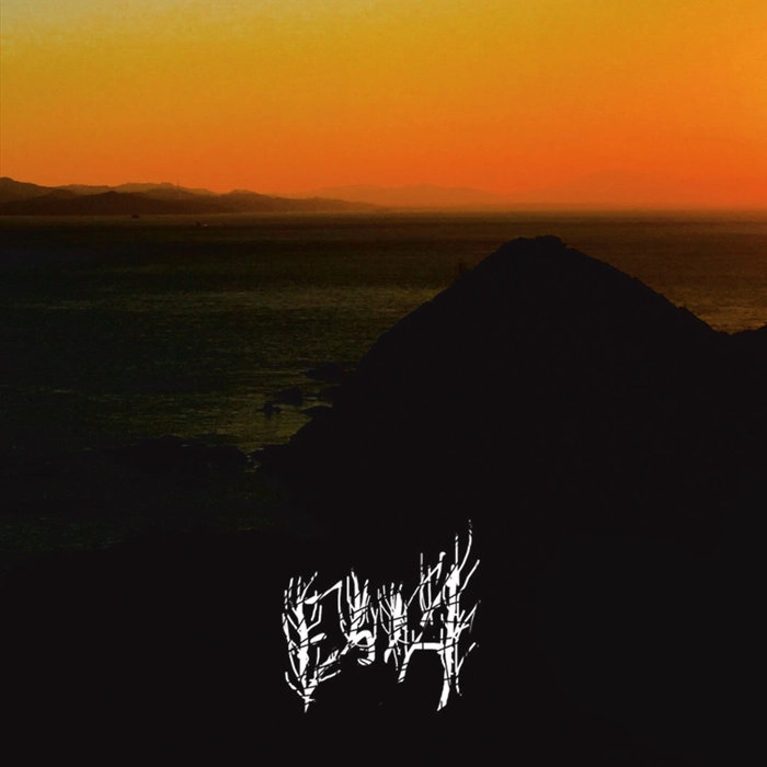 EBOLA / エボラ / II