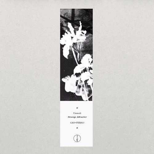 UMWELT / STRANGE ATTRACTOR EP