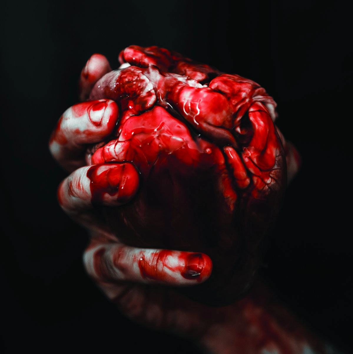 FORGOTTEN TOMB / WE OWE YOU NOTHING<BOX>