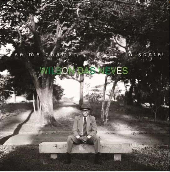 WILSON DAS NEVES / ウィルソン・ダス・ネヴィス / SE ME CHAMAR, O SORTE!