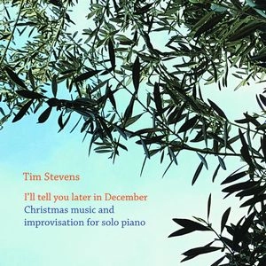 TIM STEVENS / ティム・スティーヴンス / I'LL TELL YOU LATER IN DECEMBER