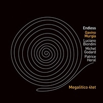 LUCIANO BIONDINI / ルチアーノ・ビオンディーニ / ENDLESS (ITA)