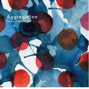 SACHIE FUJIKAWA / 藤川幸恵 / アグリゲーション / Aggregation