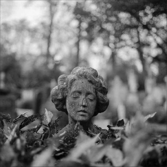 OSCAR MULERO / ACCEPTANCE