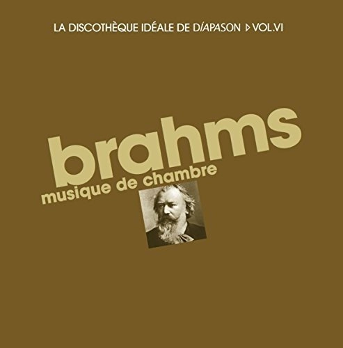 VARIOUS ARTISTS (CLASSIC) / オムニバス (CLASSIC) / BRAHMS:MUSIQUE DE CHAMBRE(12CD/LTD)