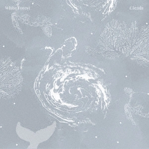 CICADA (TIWAN) / CICADA (台湾) / White Forest / WHITE FOREST