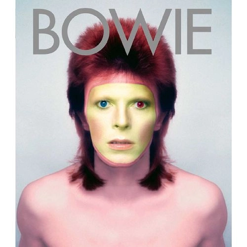 DAVID BOWIE / デヴィッド・ボウイ / BOWIE ALBUM BY ALBUM