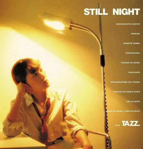 TAZUMI TOYOSHIMA / 豊島たづみ / STILL NIGHT(+13)