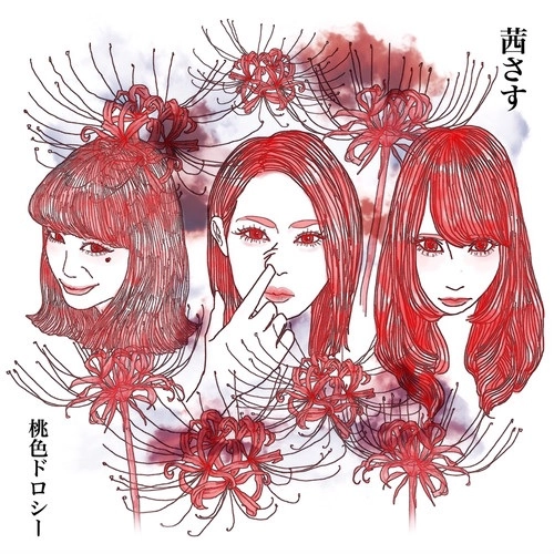 桃色ドロシー / 茜さす