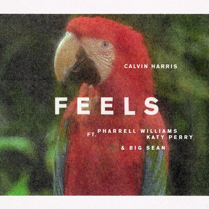 CALVIN HARRIS / カルヴィン・ハリス / FEELS (12INCH PICTURE VINYL)