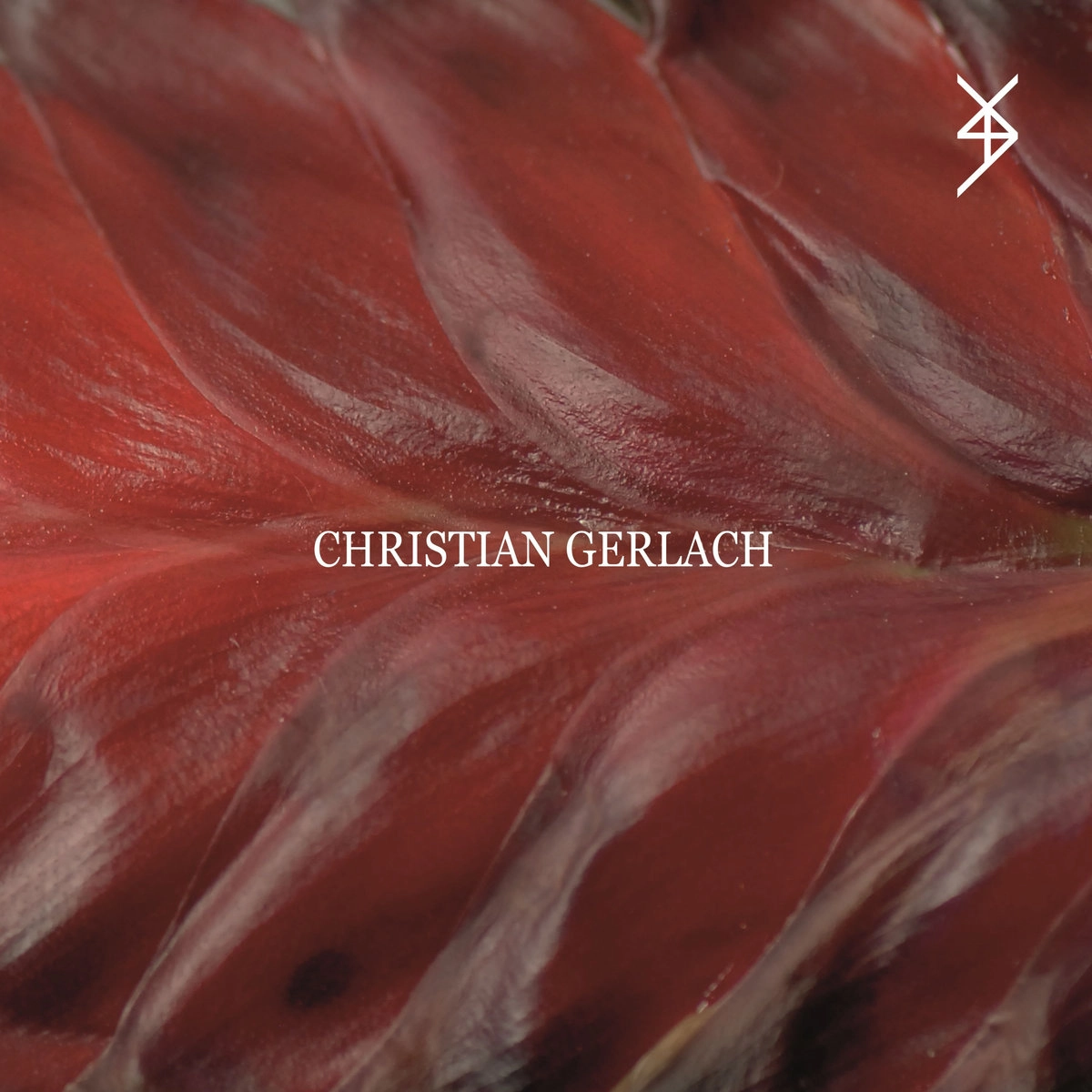 CHRISTIAN GERLACH / AVIOR