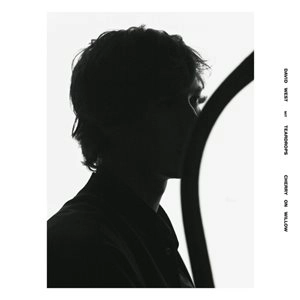 DAVID WEST WITH TEARDROPS / CHERRY ON WILLOW