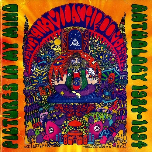 MAGIC MUSHROOM BAND / マジック・マッシュルーム・バンド / PICTURES IN MY MIND: ANTHOLOGY 1984-1994