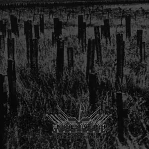 TRUPPENSTURM / FIELDS OF DEVASTATION