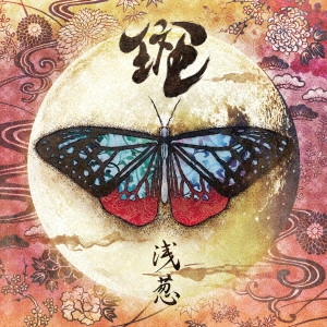 ASAGI / 浅葱 / 斑